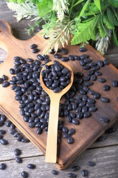 Legumi Biologici Secchi: Lenticchie, Ceci e Fagioli